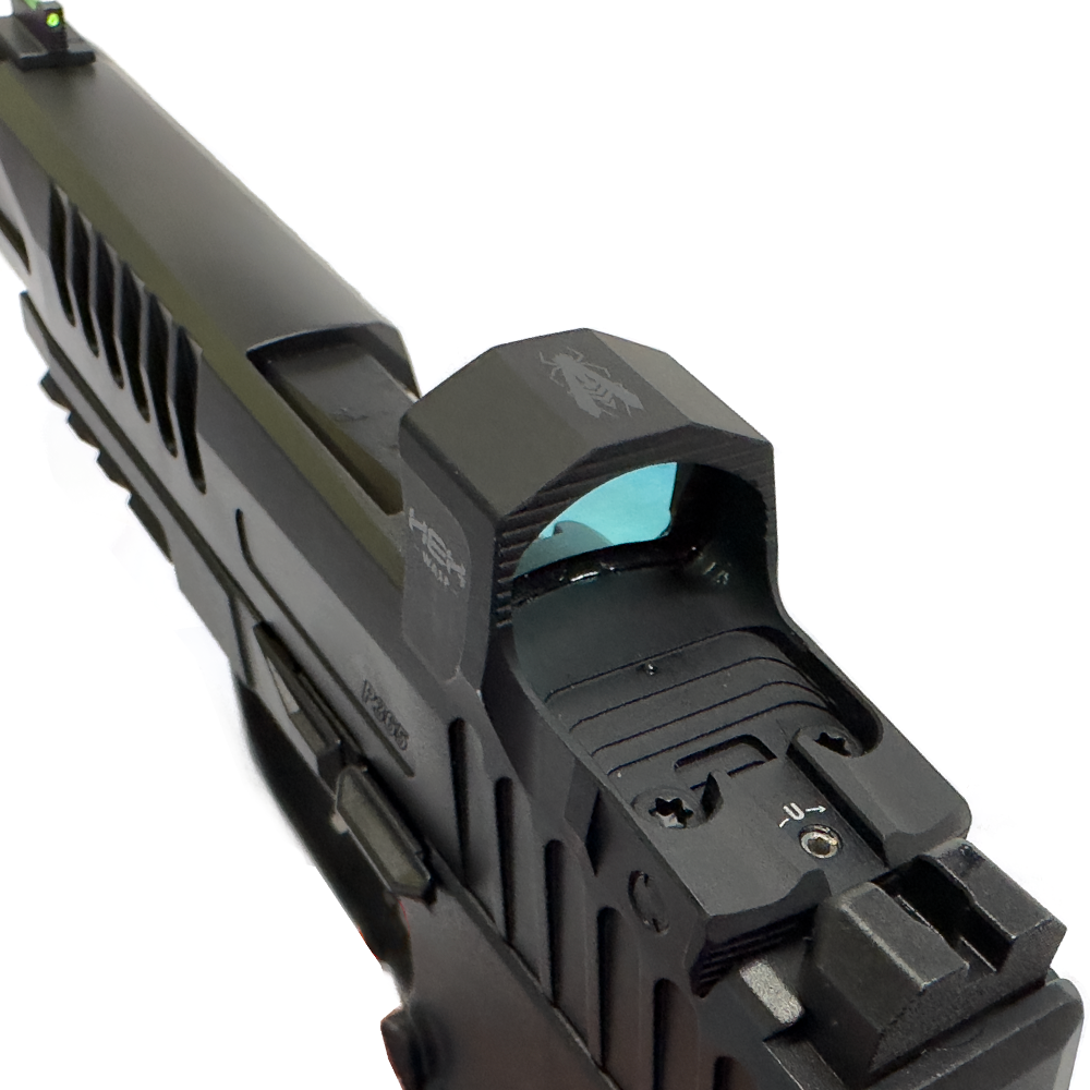 Sig Sauer P365 compatibility